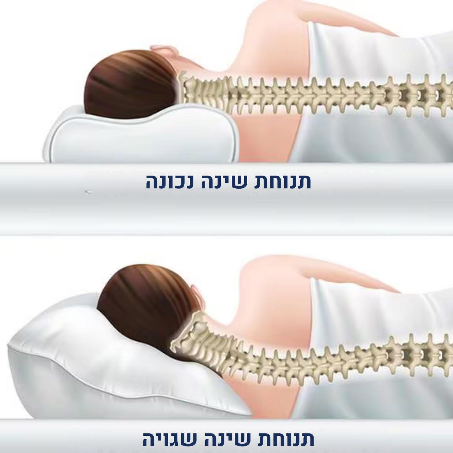 Easynight כרית שינה אורתופדית מבית פיינלס