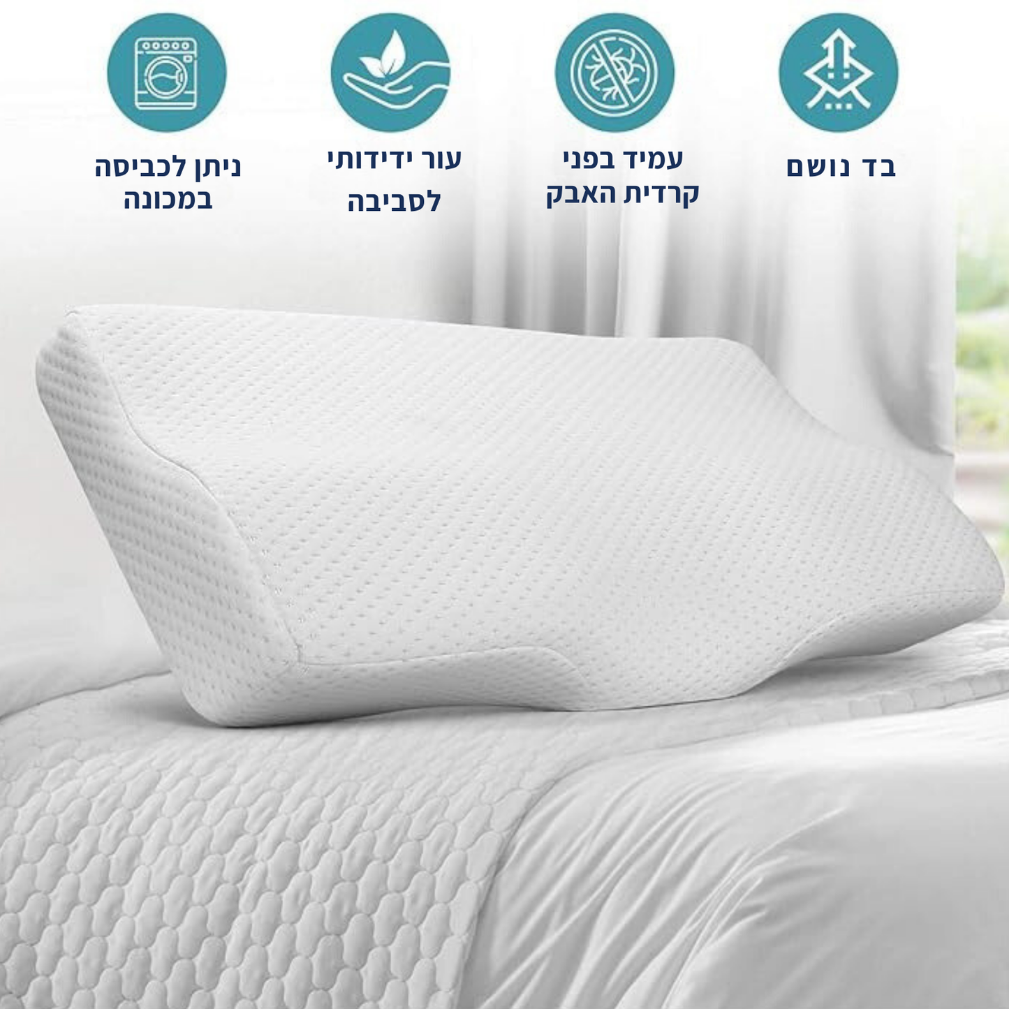 איזינייט - כרית שינה אורתופדית מבית פיינלס