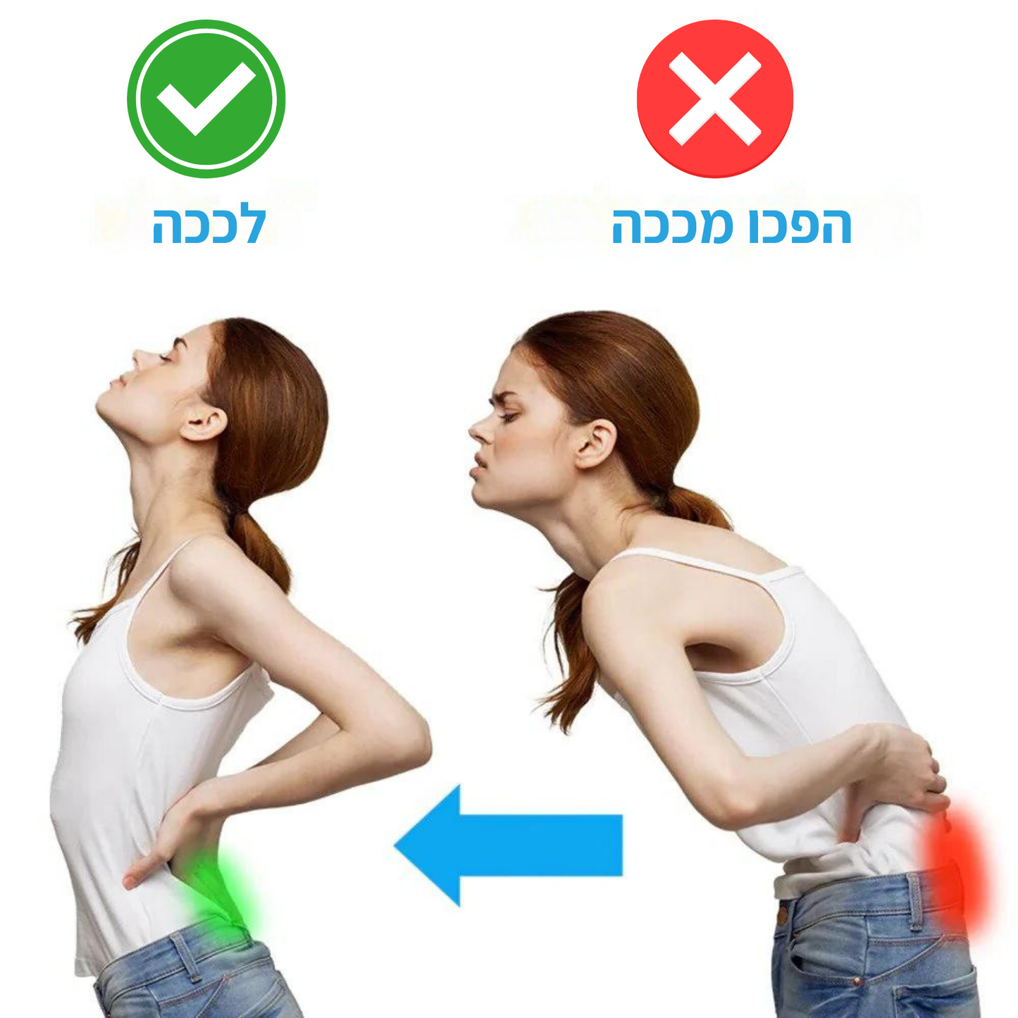 Painless חגורה להקלה על כאבי גב תחתון וסיאטיקה מבית פיינלס