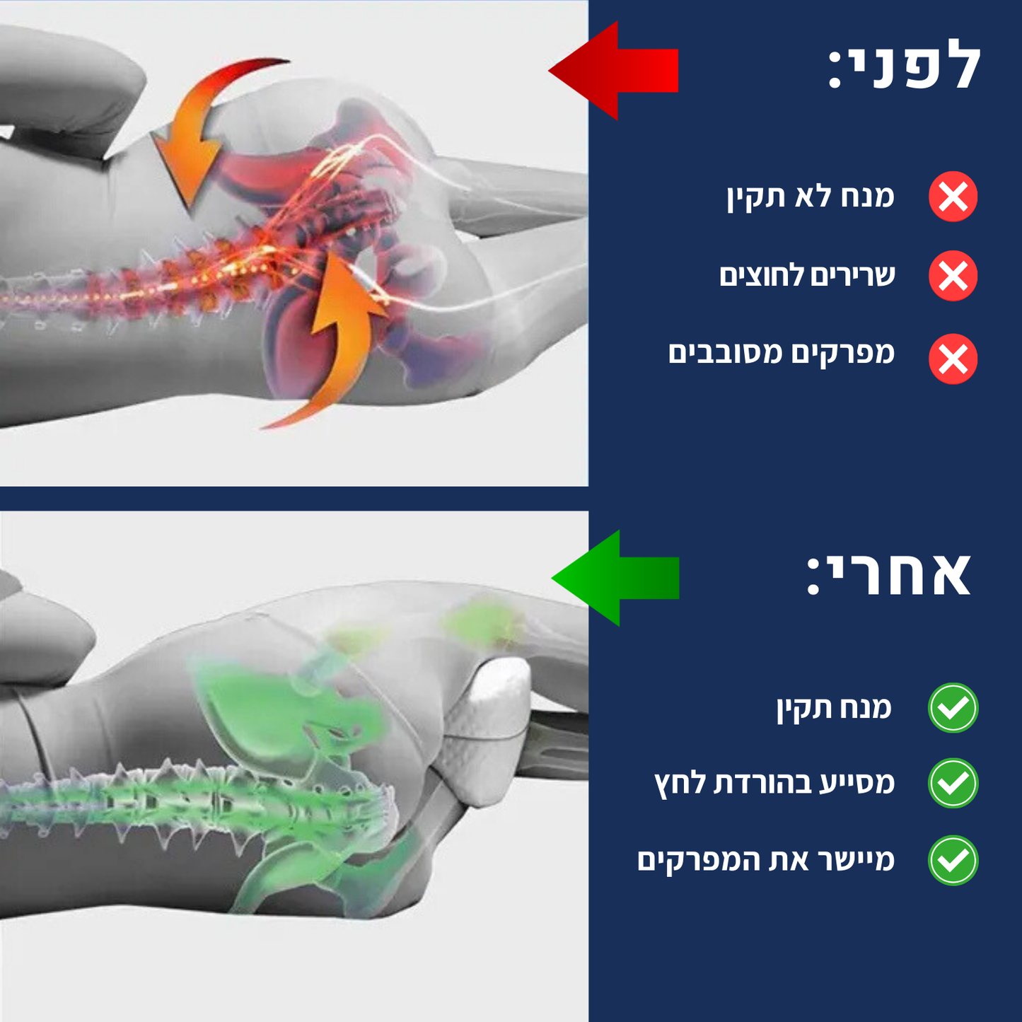 HipNight כרית ברכיים אורתופדית מבית פיינלס