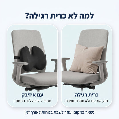 EasyBack – כרית תמיכה לגב התחתון