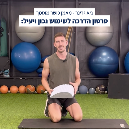 פלקסבק - מכשיר מתיחה לגב מבית פיינלס